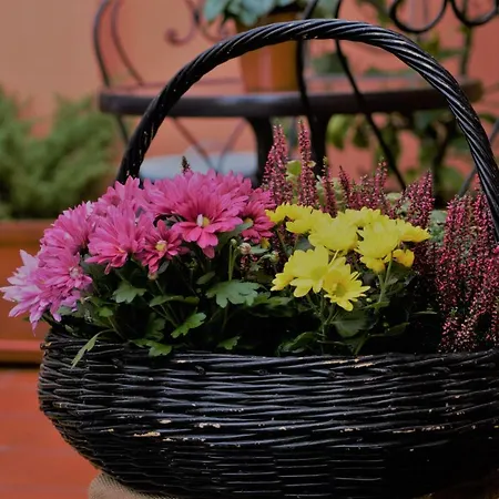 Guest house La Casina *